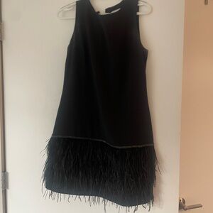 Elegant Black Feathered Dress